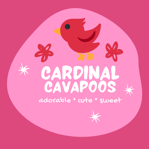 ccCardinallogo-2